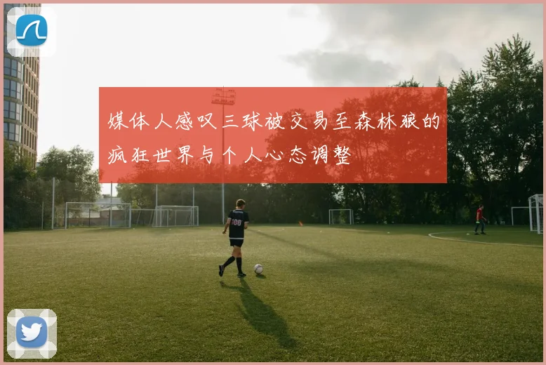媒体人感叹三球被交易至森林狼的疯狂世界与个人心态调整