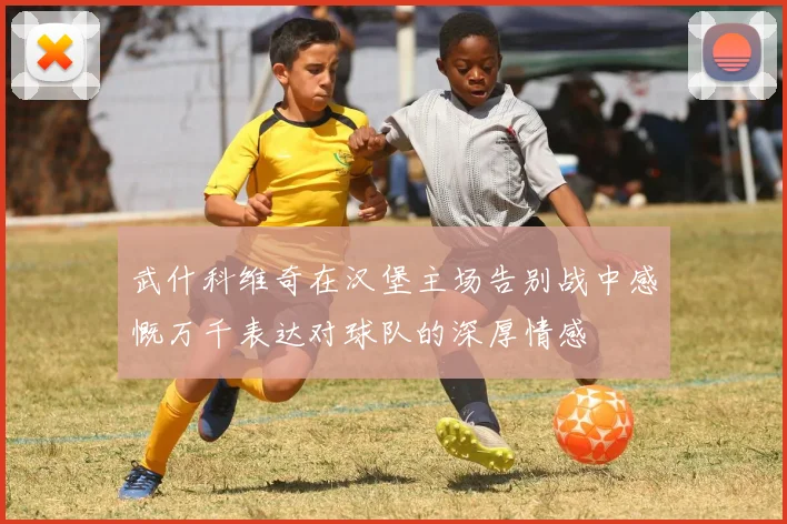 武什科维奇在汉堡主场告别战中感慨万千表达对球队的深厚情感